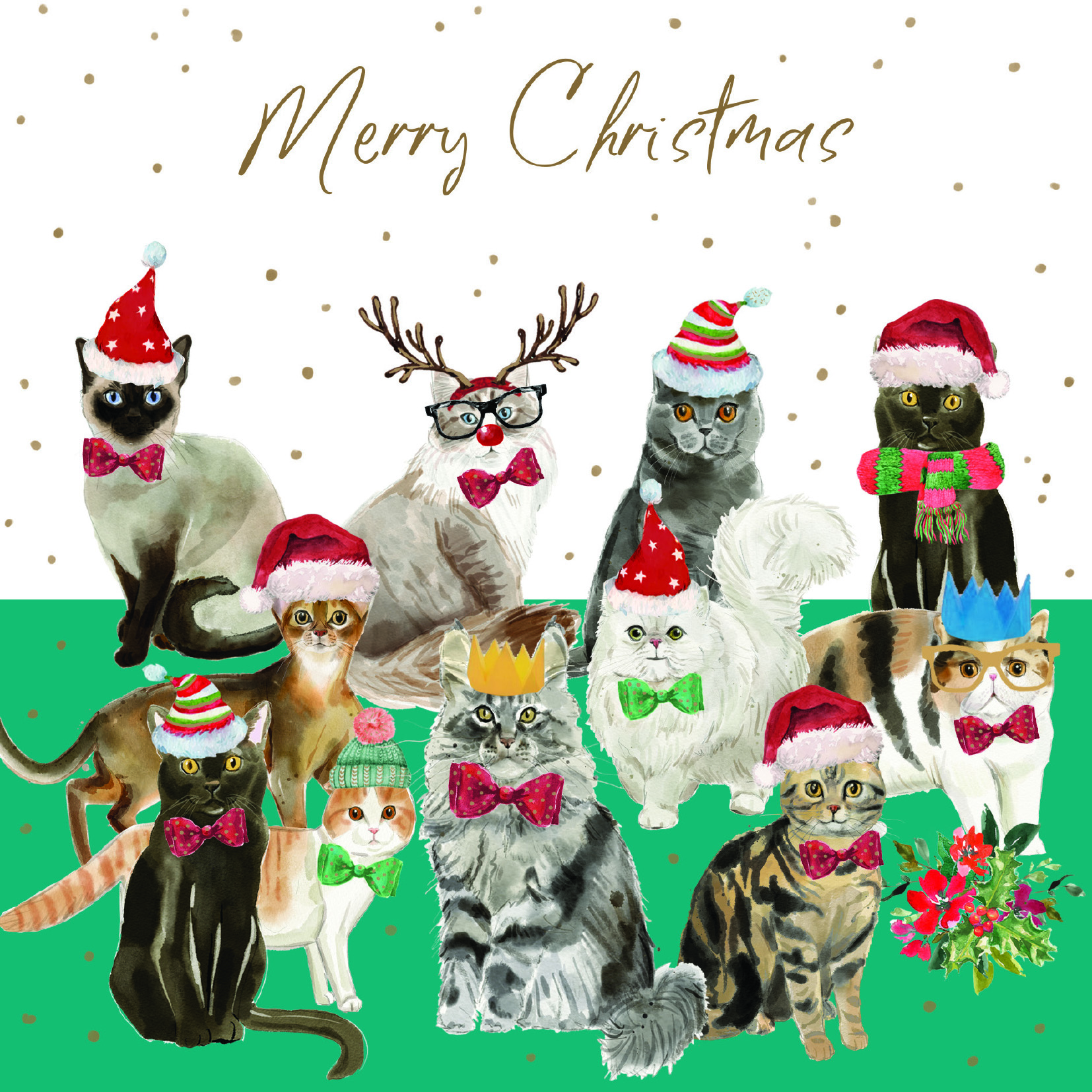 Cats at Christmas: Pack of 10 Christmas cards