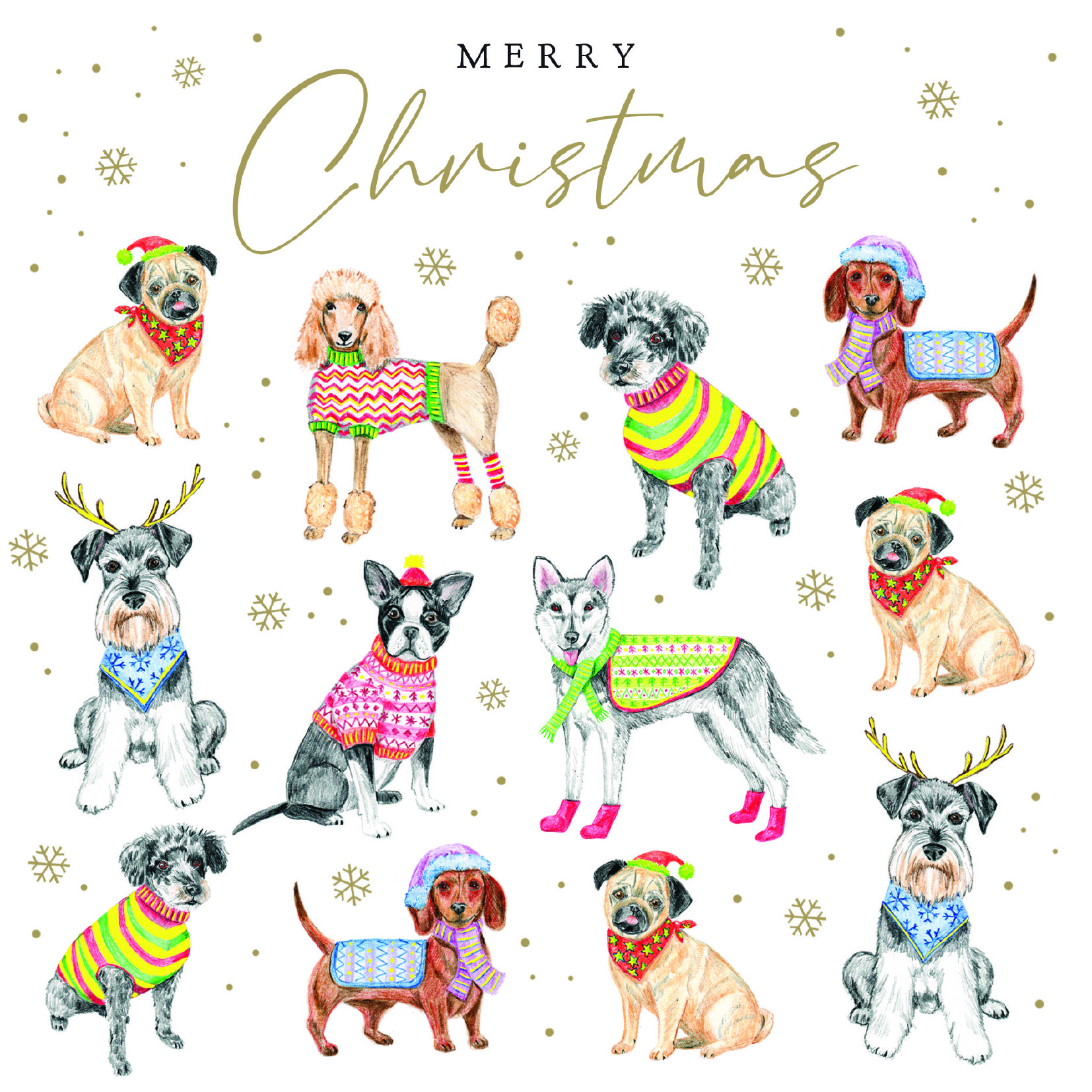 Festive dogs: Pack of 10 Christmas cards