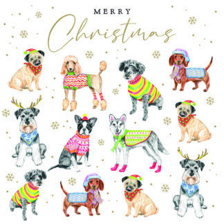 Festive dogs: Pack of 10 Christmas cards