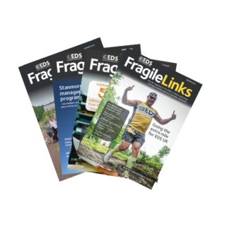 Fragile Links Set of 4 Digital Edition