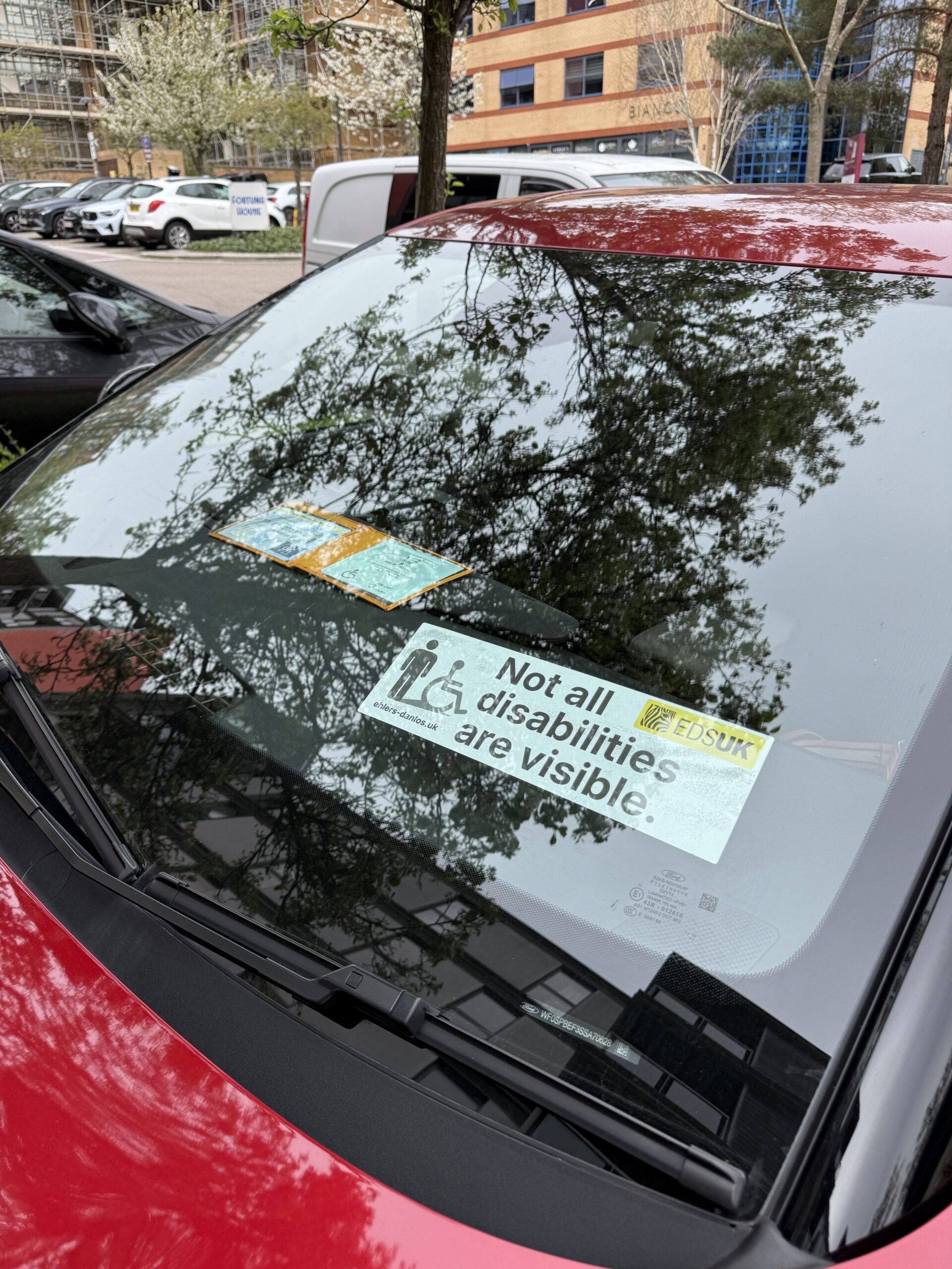 Car window stickers - Not all disabilities are visible - Image 4
