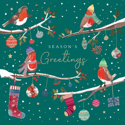Robins: Pack of 10 Christmas cards