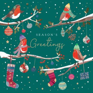 Robins: Pack of 10 Christmas cards